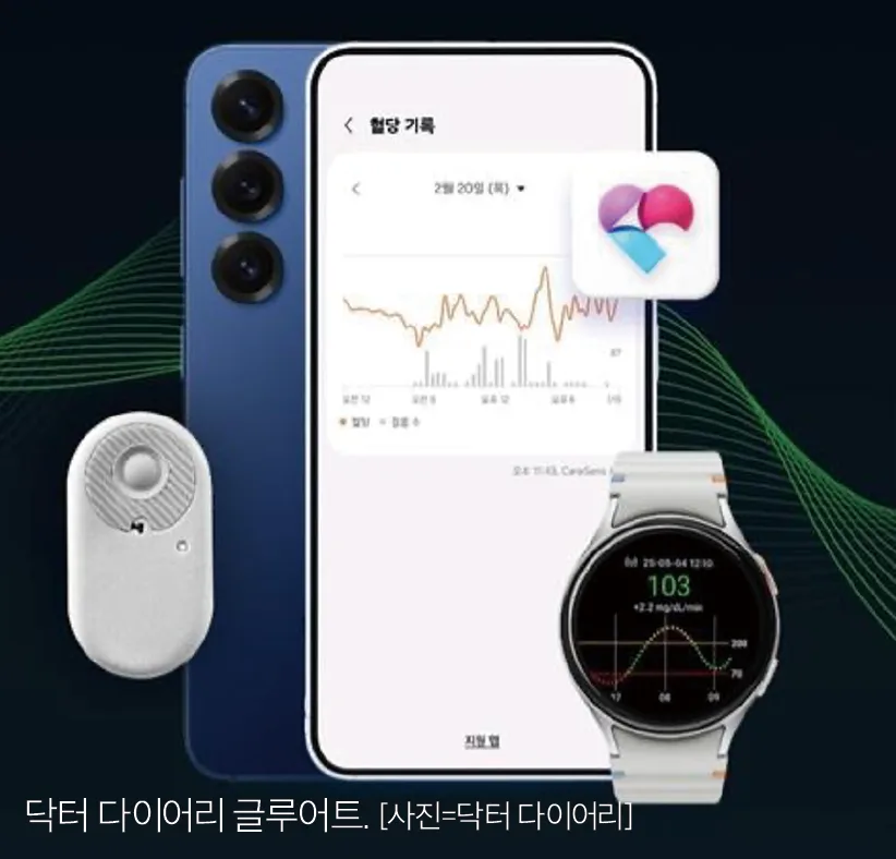 확대이미지